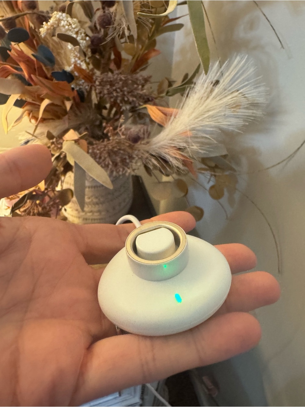 Femometer ring size 6